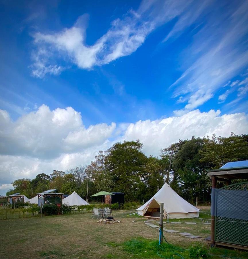 Quex Livery Glamping 伯青顿 外观 照片