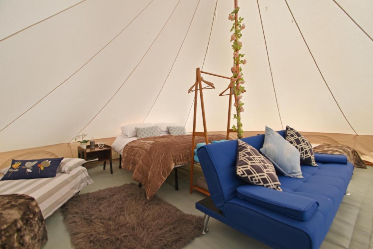 Quex Livery Glamping 伯青顿 外观 照片